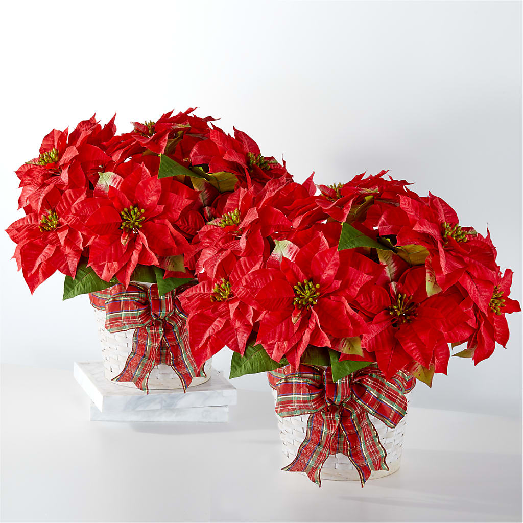 Happiest Holidays Poinsettia Bundle – PETALS & HEARTS FLOWER SHOP, Monterey Park CA