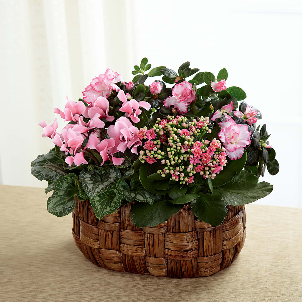 Pink Assortment – PETALS & HEARTS FLOWER SHOP, Monterey Park CA