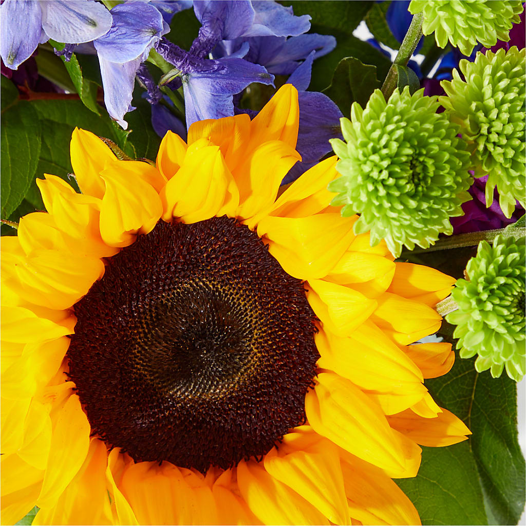 Catching Rays Bouquet – PETALS & HEARTS FLOWER SHOP, Monterey Park CA