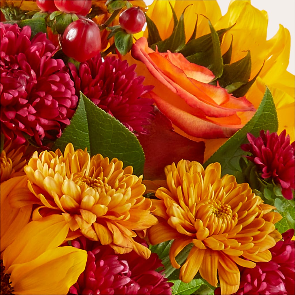 Sweater Season - A Florist Original – PETALS & HEARTS FLOWER SHOP, Monterey Park CA