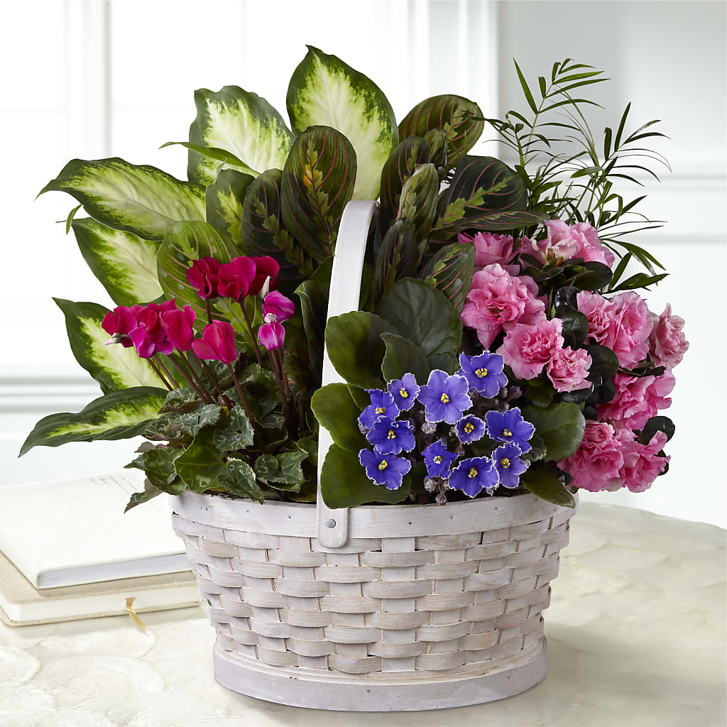 Peaceful Garden Planter – PETALS & HEARTS FLOWER SHOP, Monterey Park CA