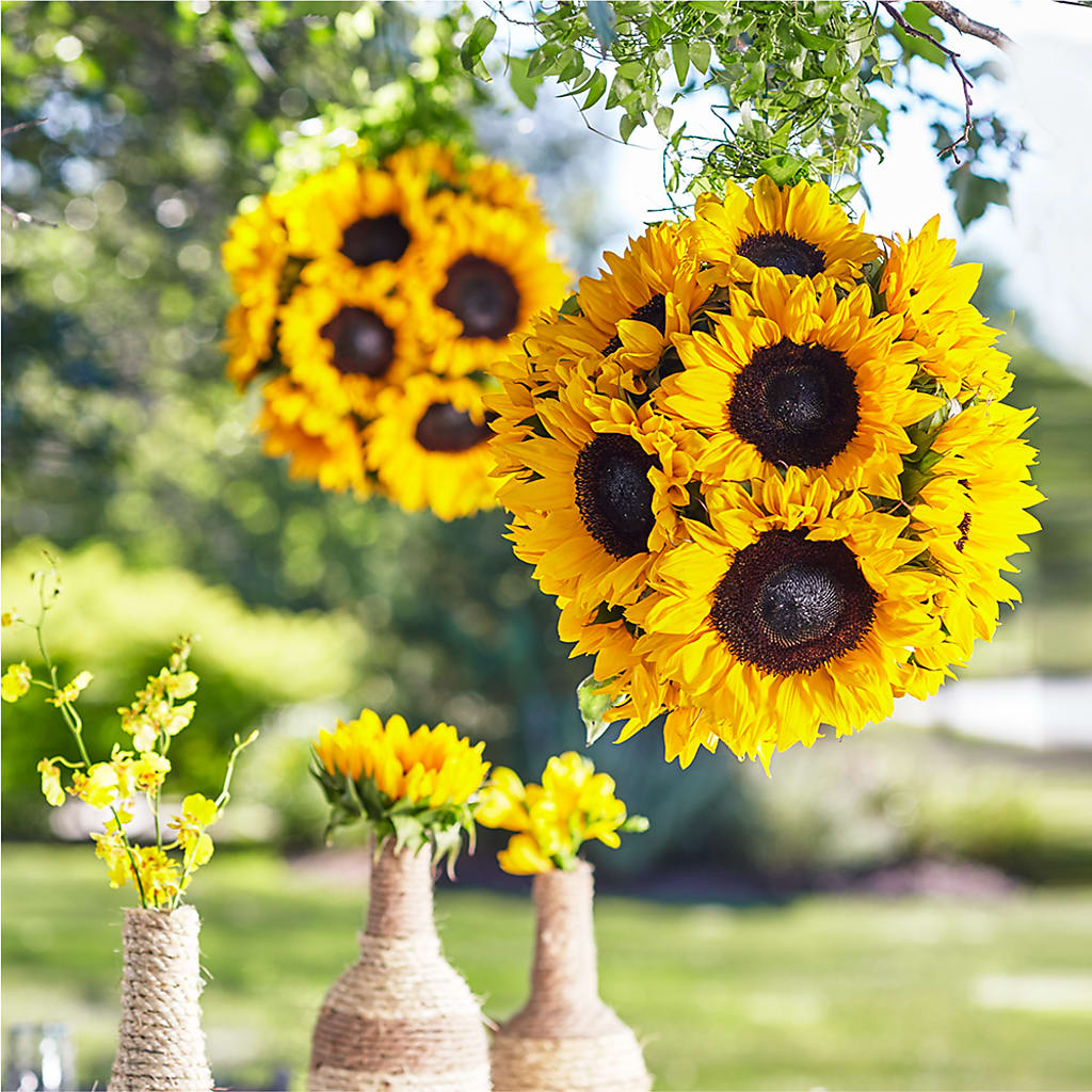 Sublime Garden Hanging Arrangement – PETALS & HEARTS FLOWER SHOP, Monterey Park CA