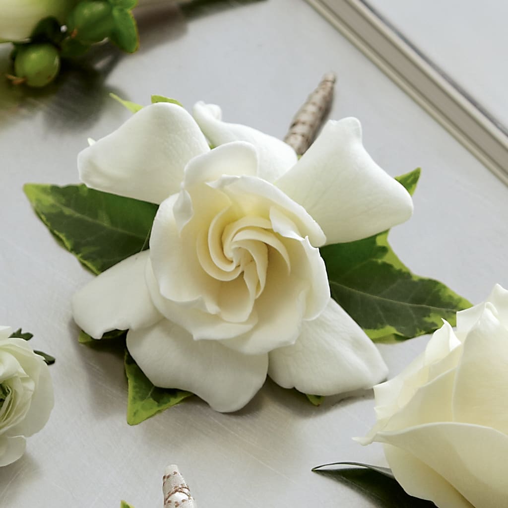 Gardenia Boutonniere – PETALS & HEARTS FLOWER SHOP, Monterey Park CA