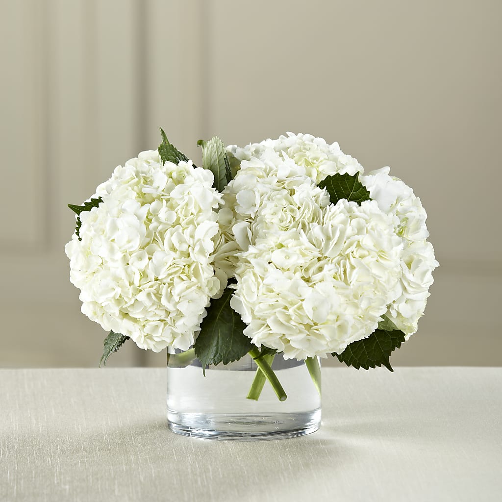 White Hydrangea Bouquet – PETALS & HEARTS FLOWER SHOP, Monterey Park CA