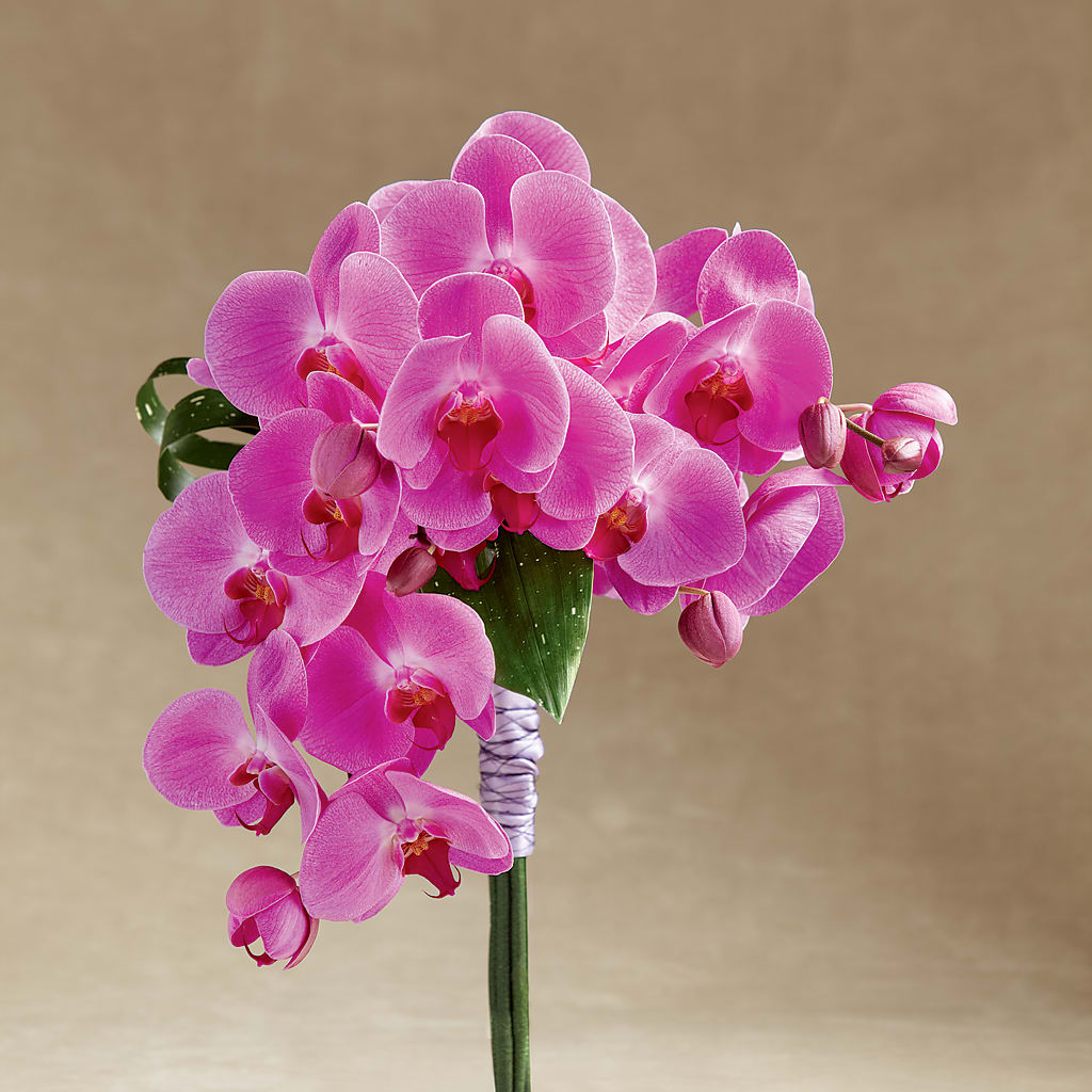 Glorious Bouquet – PETALS & HEARTS FLOWER SHOP, Monterey Park CA