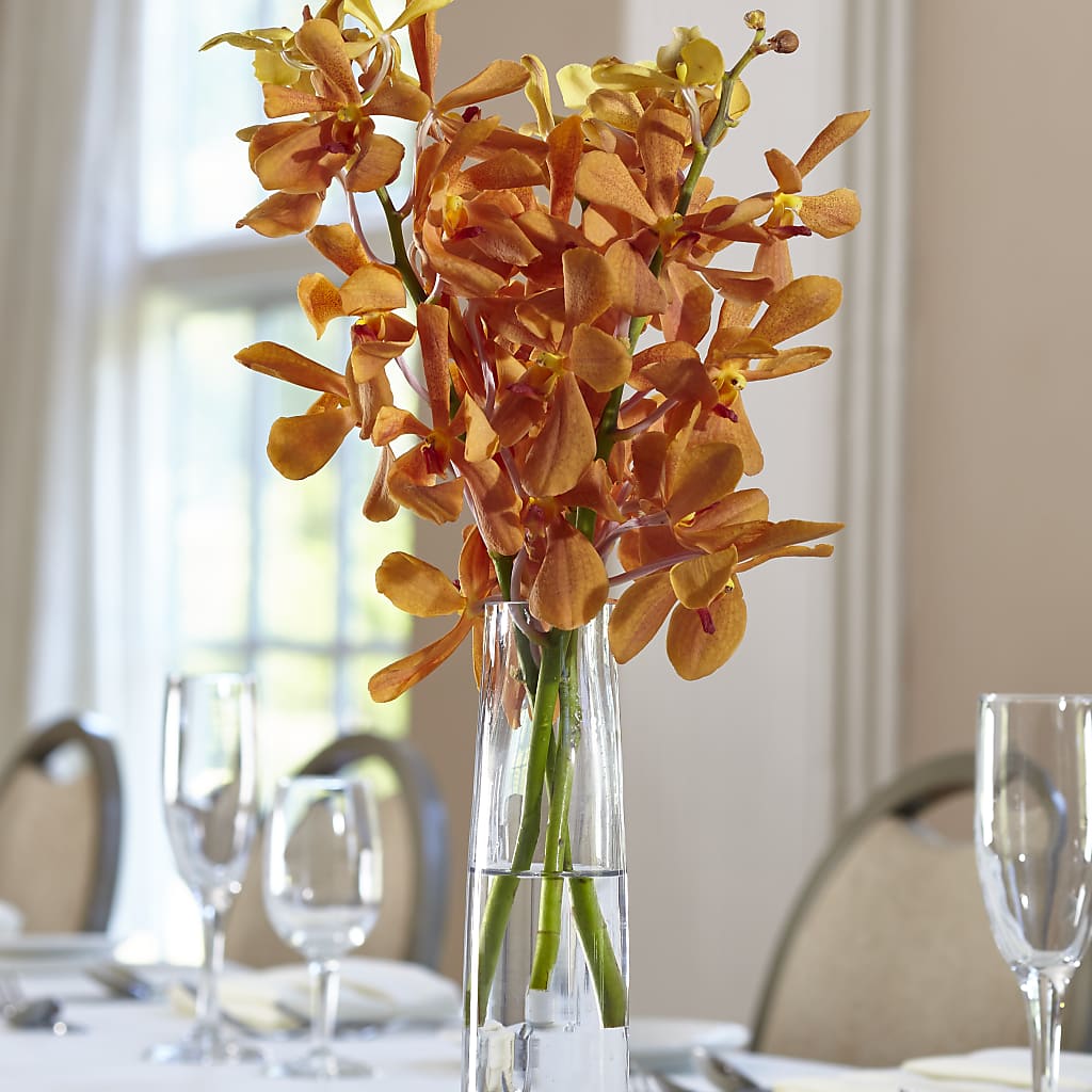 Orange Mokara Bud Vase – PETALS & HEARTS FLOWER SHOP, Monterey Park CA