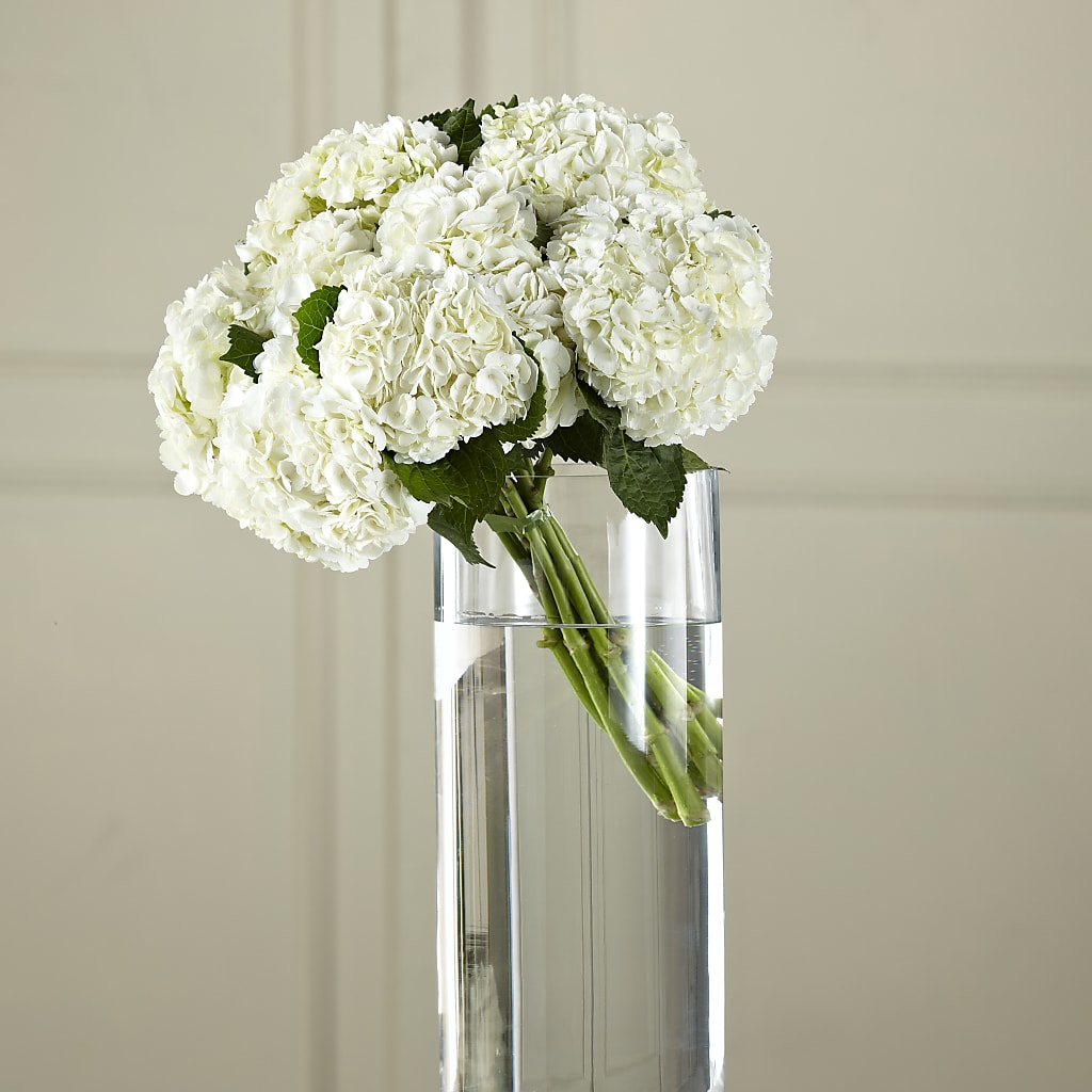 White Hydrangea Hand-Tied Bouquet – PETALS & HEARTS FLOWER SHOP, Monterey Park CA