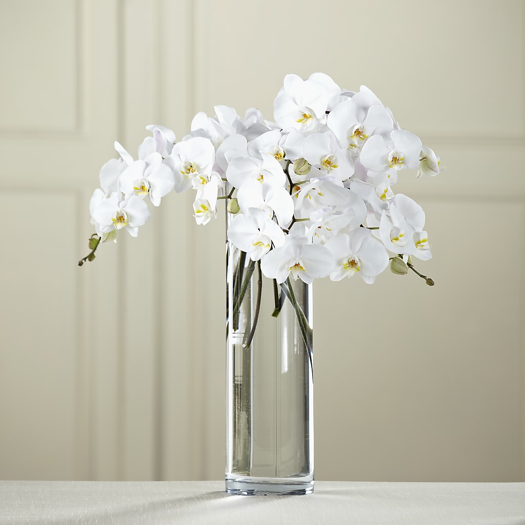 White Phalaenopsis Bouquet – PETALS & HEARTS FLOWER SHOP, Monterey Park CA