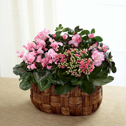 Pink Assortment – PETALS & HEARTS FLOWER SHOP, Monterey Park CA