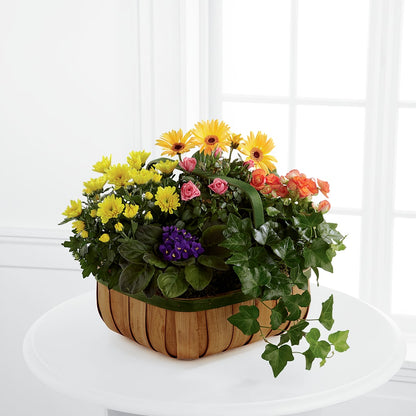 Gentle Blossoms Basket – PETALS & HEARTS FLOWER SHOP, Monterey Park CA