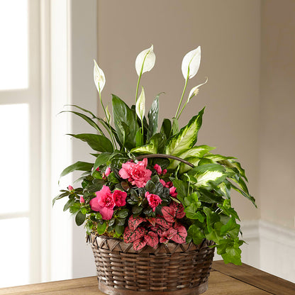 Dream in Pink Dishgarden – PETALS & HEARTS FLOWER SHOP, Monterey Park CA