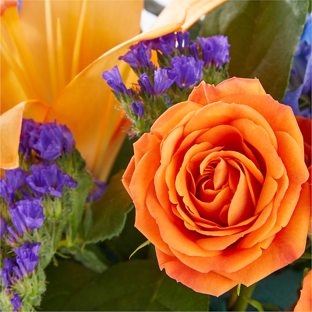 Radiant Citrus Box Bouquet – PETALS & HEARTS FLOWER SHOP, Monterey Park CA