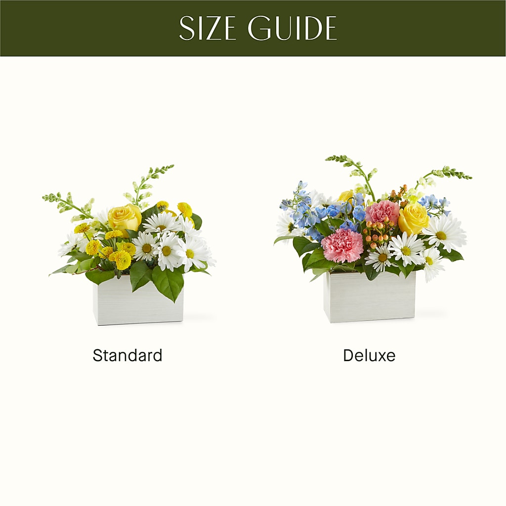 Sun Salutation Box Bouquet – PETALS & HEARTS FLOWER SHOP, Monterey Park CA