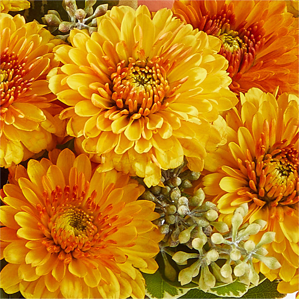 Peachy Pumpkin – PETALS & HEARTS FLOWER SHOP, Monterey Park CA