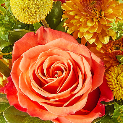 Gourdgeous Pumpkin – PETALS & HEARTS FLOWER SHOP, Monterey Park CA