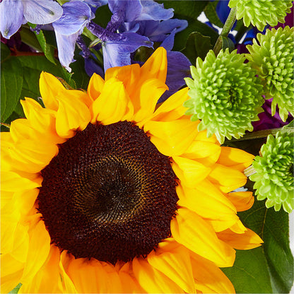 Catching Rays Bouquet – PETALS & HEARTS FLOWER SHOP, Monterey Park CA