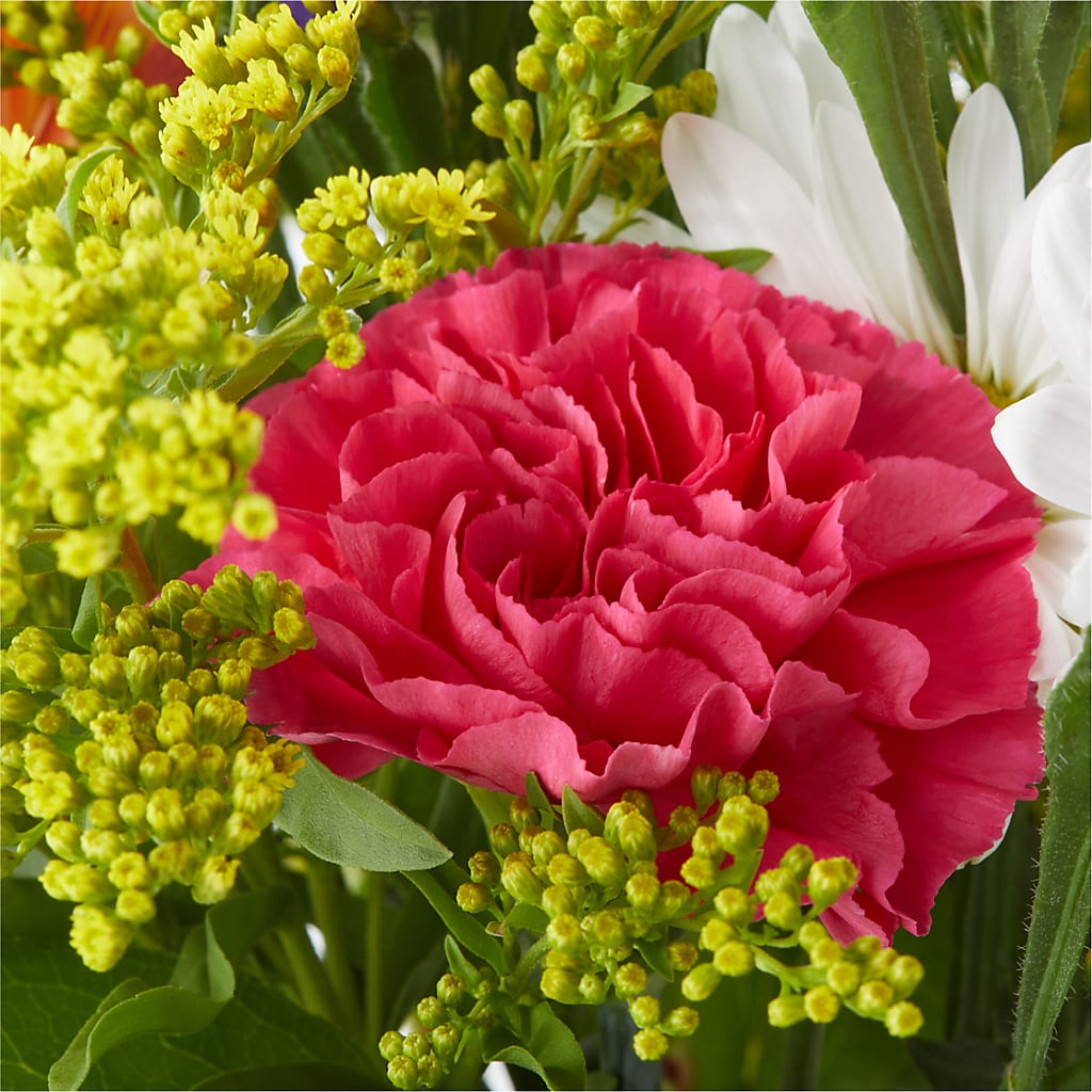 Oopsie Daisy Bouquet – PETALS & HEARTS FLOWER SHOP, Monterey Park CA