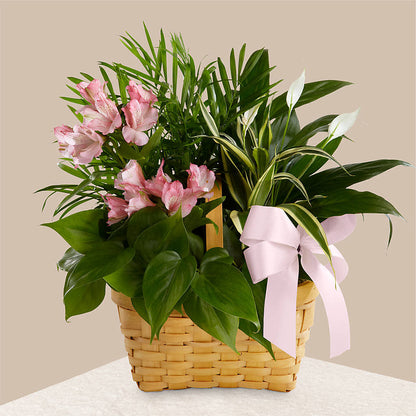 Living Spirit Dishgarden – PETALS & HEARTS FLOWER SHOP, Monterey Park CA