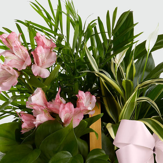 Living Spirit Dishgarden – PETALS & HEARTS FLOWER SHOP, Monterey Park CA