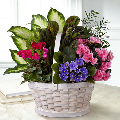 Peaceful Garden Planter – PETALS & HEARTS FLOWER SHOP, Monterey Park CA