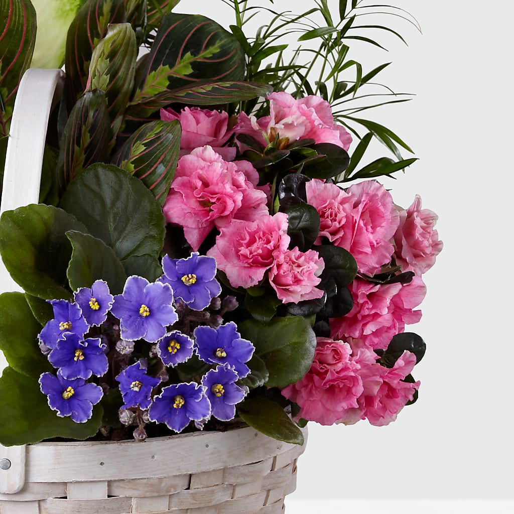 Peaceful Garden Planter – PETALS & HEARTS FLOWER SHOP, Monterey Park CA