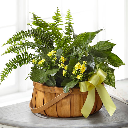 Always Dear Dishgarden – PETALS & HEARTS FLOWER SHOP, Monterey Park CA