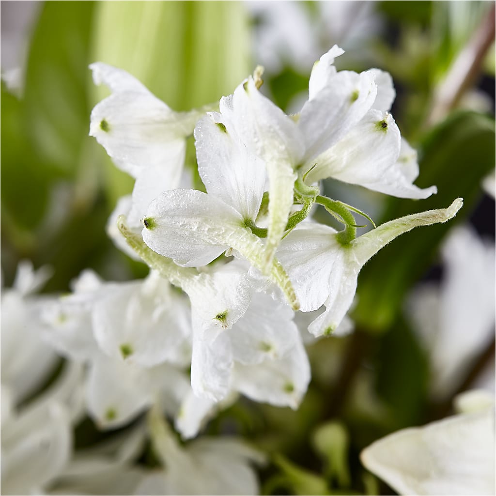 Classic Ivory – A Florist Original – PETALS & HEARTS FLOWER SHOP, Monterey Park CA