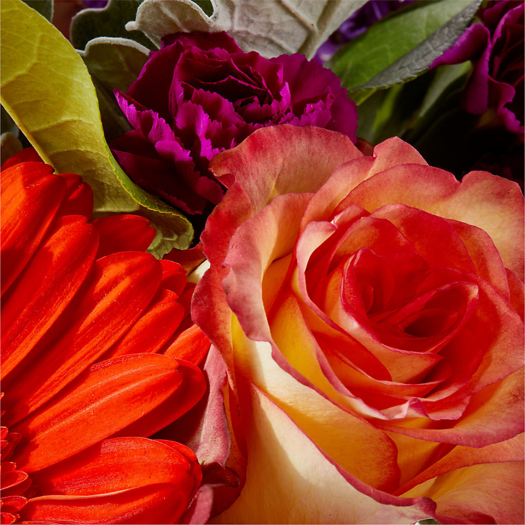 Sangria Bouquet – PETALS & HEARTS FLOWER SHOP, Monterey Park CA