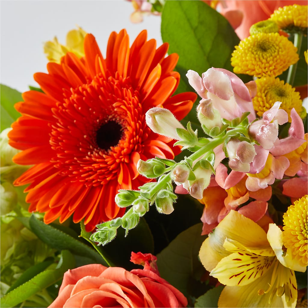 Autumn Sunshine Bouquet – PETALS & HEARTS FLOWER SHOP, Monterey Park CA