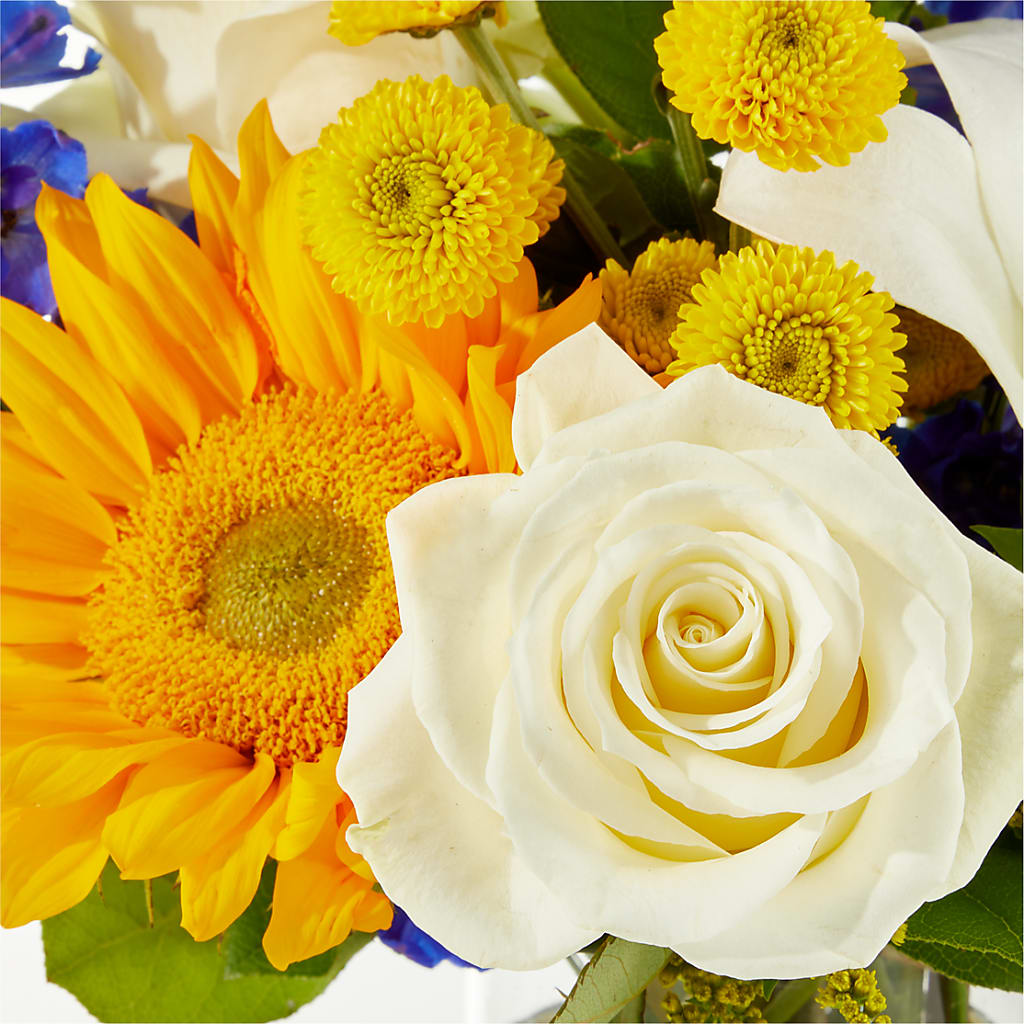 Stargazing Bouquet – PETALS & HEARTS FLOWER SHOP, Monterey Park CA