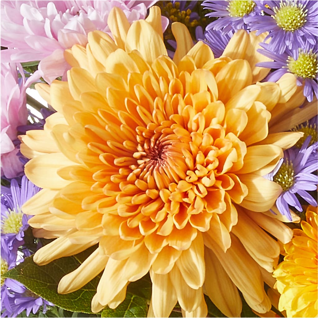 Countryside Bouquet – PETALS & HEARTS FLOWER SHOP, Monterey Park CA