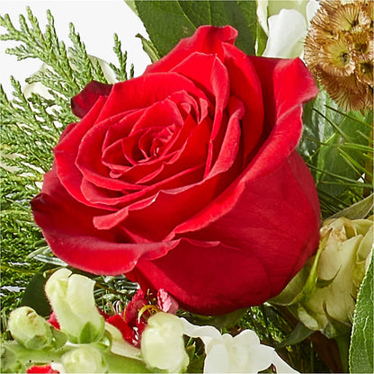 Deck the Halls Bouquet – PETALS & HEARTS FLOWER SHOP, Monterey Park CA