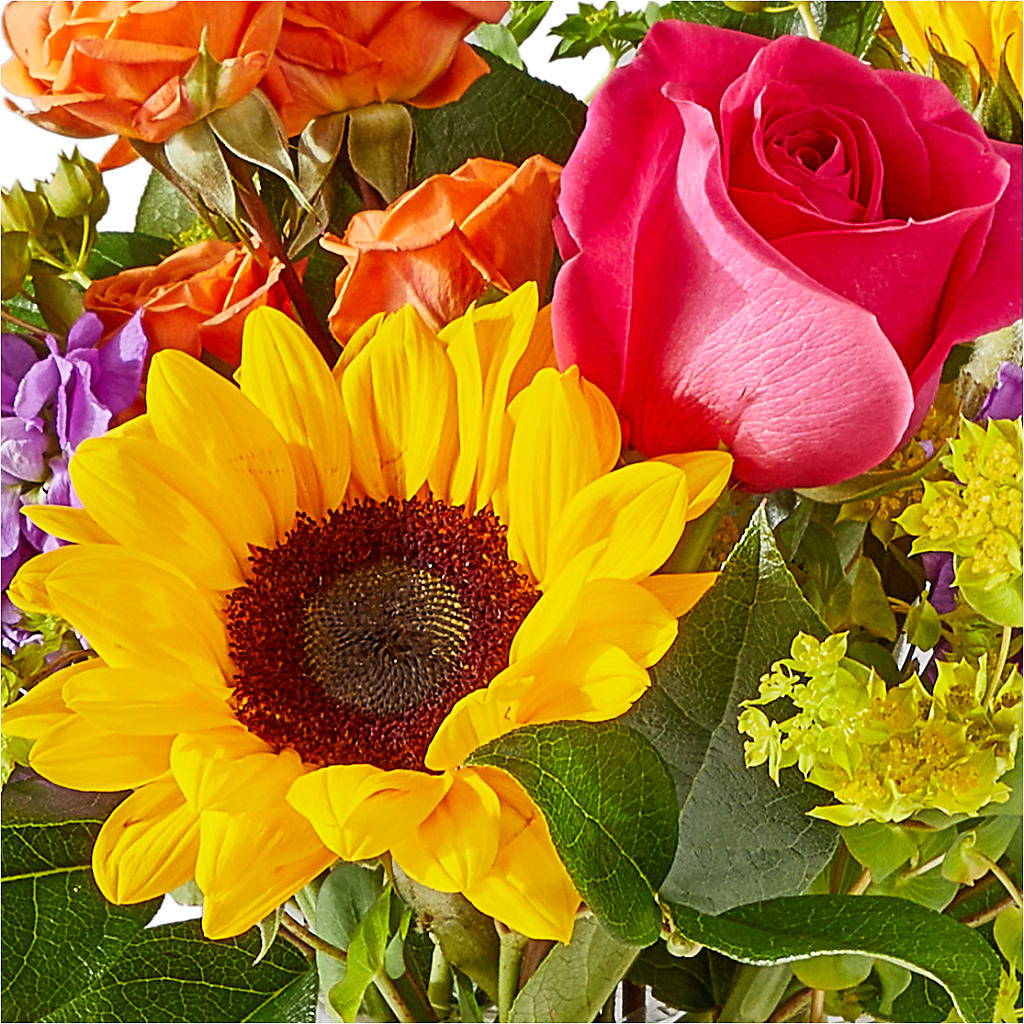 Vibrant Greetings Bouquet – PETALS & HEARTS FLOWER SHOP, Monterey Park CA