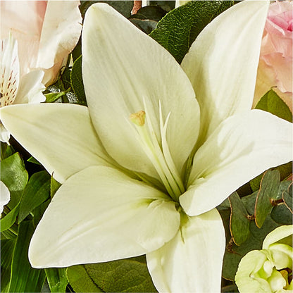 Ballet Slippers Bouquet – PETALS & HEARTS FLOWER SHOP, Monterey Park CA