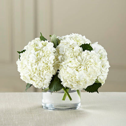White Hydrangea Bouquet – PETALS & HEARTS FLOWER SHOP, Monterey Park CA